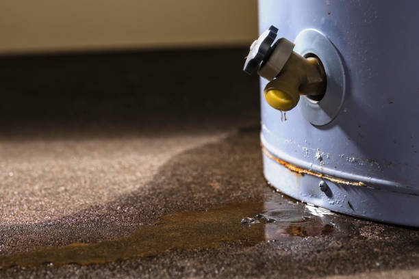 Best Emergency water damage restoration  in La Crescent, MN
