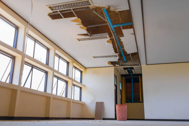 Reliable La Crescent, MN Water damage restoration Solutions