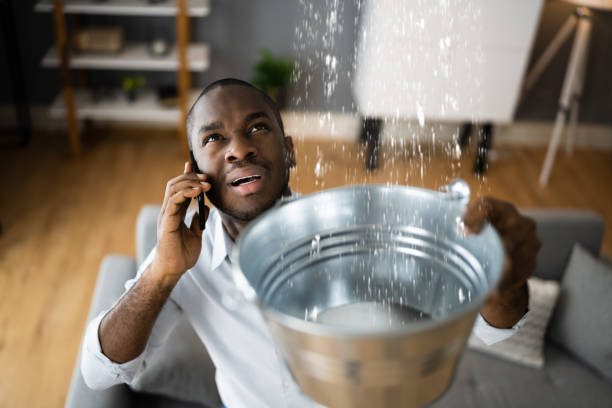 Best Water damage restoration cost  in La Crescent, MN