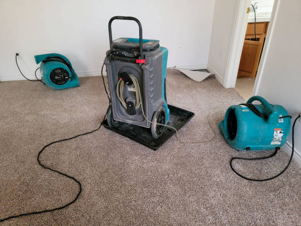 Water damage restoration mold remediation in La Crescent, MN