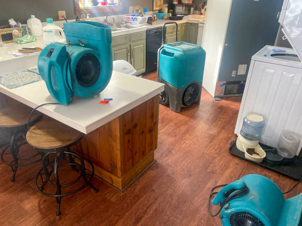 Best Ceiling water damage repair  in La Crescent, MN