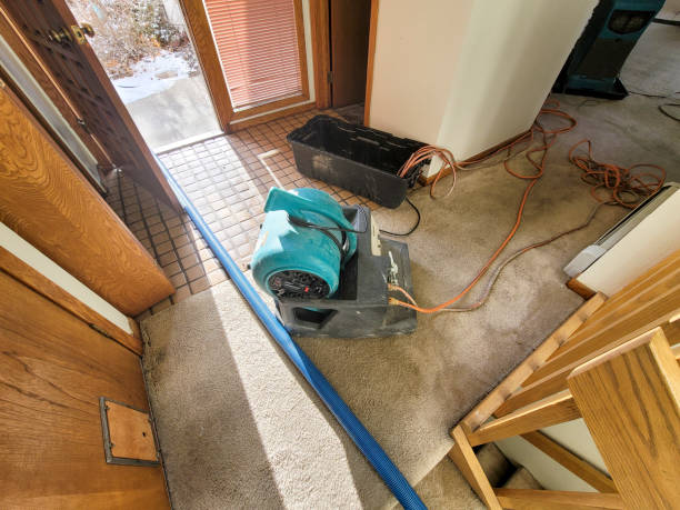 Best Carpet water damage restoration  in La Crescent, MN