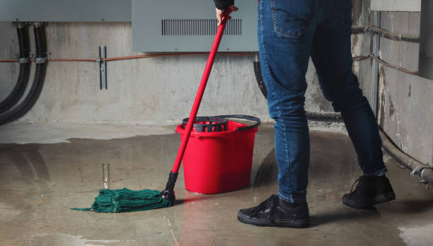 Best Water damage restoration mold remediation  in La Crescent, MN