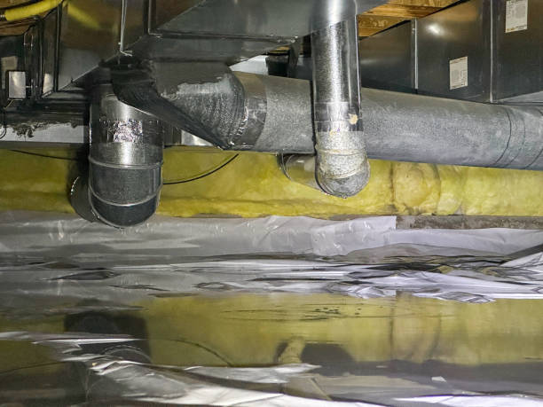 Best Flooded house restoration  in La Crescent, MN