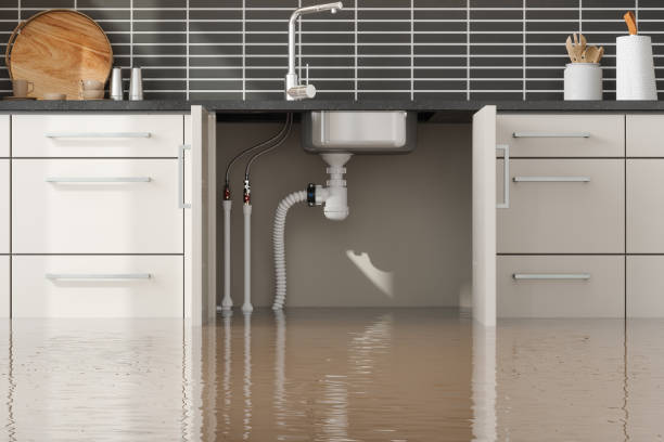 Best Carpet water damage restoration  in La Crescent, MN