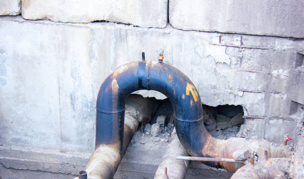 Best Water damage contractors near me  in La Crescent, MN
