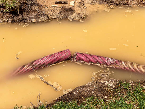 Best Local water damage restoration  in La Crescent, MN