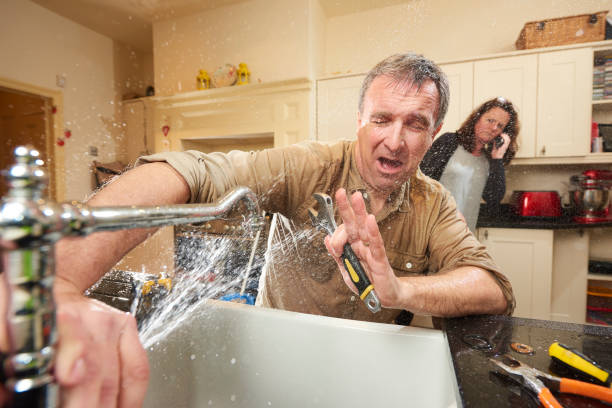Best Residential water damage restoration  in La Crescent, MN